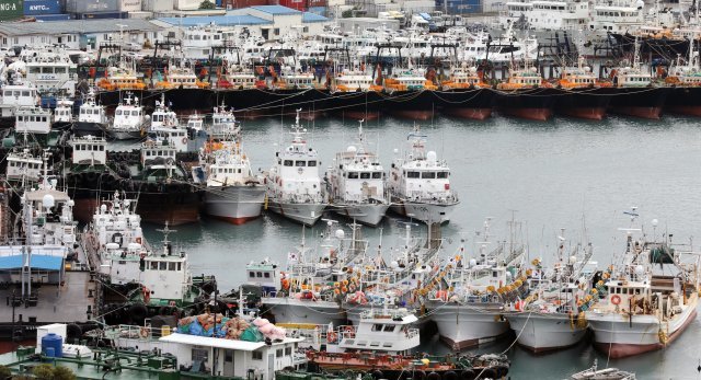 제25호 태풍 ‘콩레이’가 북상 중인 4일 부산 동구 부산항5부두에 선박이 피항해 있다. © News1