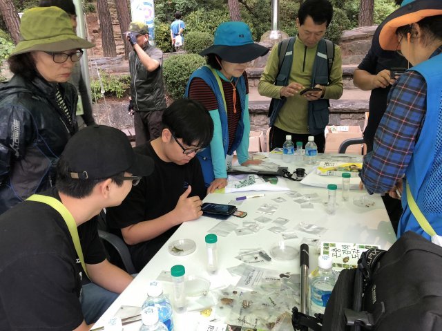 남한산성 바이오블리츠 행사 참가자들이 발견한 곤충들을 기록하고 있다.(성남시 제공)© News1
