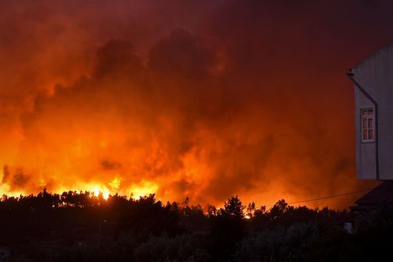 지난해 7월 발생한 포르투갈 산불. © News1 (자료사진)