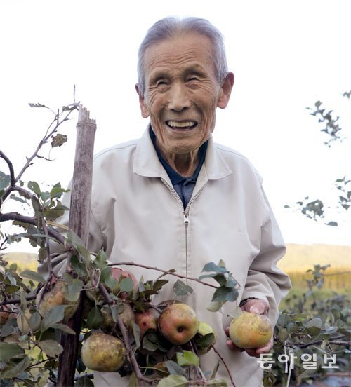 올해 100세인 김근석 씨가 경북 포항시 자택 인근에서 직접 돌보는 사과를 들어 보이고 있다. 포항=박경모 momo@donga.com