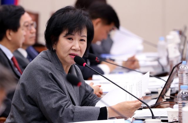 손혜원 더불어민주당 의원. © News1