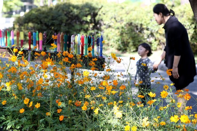 7일 오전 서울 영등포구 여의도공원에서 열린 ‘2018 서울정원박람회’를 찾은 시민들이 가을 날씨를 즐기고 있다. 2018.10.7/뉴스1 © News1