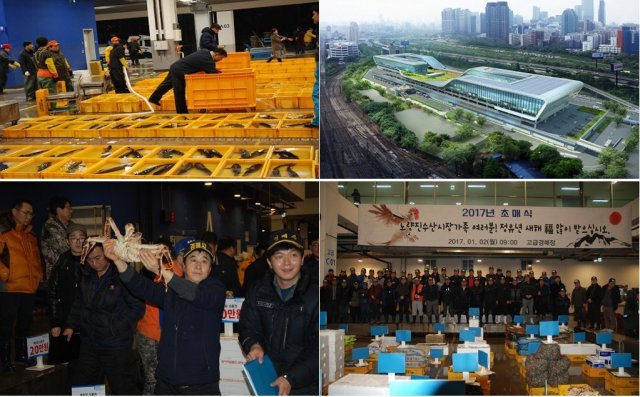 < 노량진수산시장의 다양한 모습들, 출처: 노량진수산시장 홈페이지 >