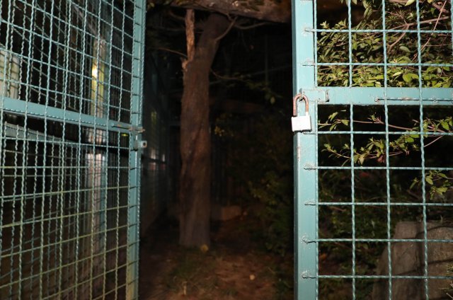 18일 오후 4시 50분께 대전시 중구 사정동 대전동물원에서 퓨마 1마리가 탈출했다. 사진은 퓨마가 탈출한 사육장 통로. 2018.9.18/뉴스1 © News1