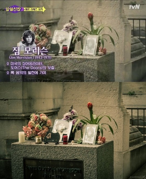 tvN ‘알쓸신잡3’ 캡처, 전영광 작가 사진