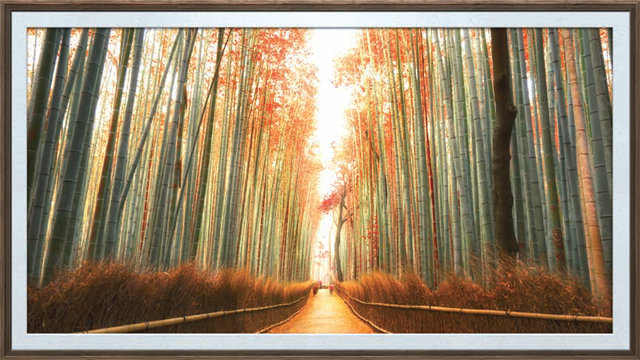 LG 올레드 TV 갤러리앱으로 즐기는 가을 여행지. 일본 교토.