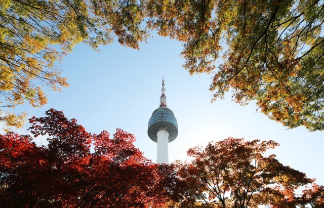 쾌청한 가을 날씨를 보인 21일 오후 서울 중구 남산에 단풍이 물들어 있다. 2018.10.21/뉴스1 © News1