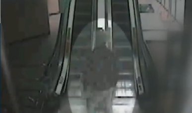 강서 PC방 살인 사건 피의자 김성수 신상 공개. 사진=채널A 캡처