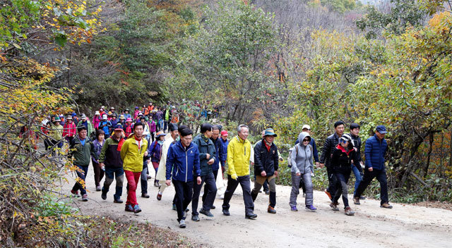 2016년 ‘지리산 회남재 숲길 걷기’에 참가한 윤상기 하동군수(앞줄 오른쪽에서 다섯 번째)와 트레커, 지역 주민 등이 단풍길을 걷고 있다. 하동군 제공