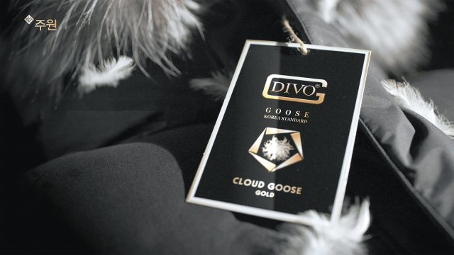 프리미엄 다운 브랜드 ‘디보(DIVO)’.