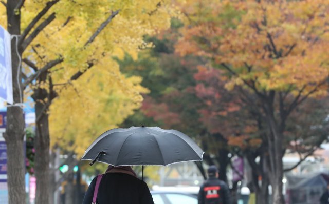 전국에 가을비가 내리는 26일 서울 세종대로에서 우산을 쓴 시민들이 출근길을 서두르고 있다. 2018.10.26/뉴스1 © News1