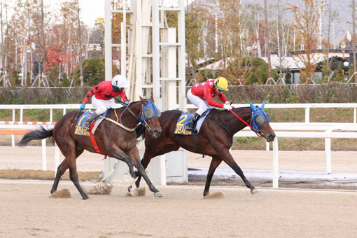 지난 27일 열린 과천시장배에서 ‘대완마’ 안토니오 기수(오른쪽)와 ‘도끼블레이드’ 김용근 기수.