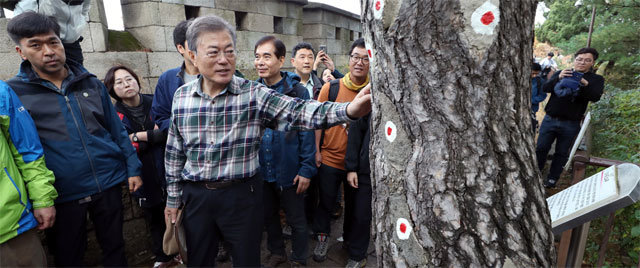 28일 오전 문재인 대통령이 청와대 출입기자단과의 산행에서 1968년 북한 특수부대가 청와대를 습격하기 위해 침투한 
‘1·21사태(김신조 사태)’ 당시 총격 흔적이 남은 소나무를 짚으며 설명하고 있다. 문 대통령은 “(1·21사태 이후로) 전면 
통제됐다가 노무현 대통령 때 개방했는데 성벽로를 따라서만 개방을 한 것”이라며 “북악산도 앞으로 점점 더 개방 범위를 넓혀 
나가려는 목표를 갖고 있다”고 말했다. 청와대사진기자단