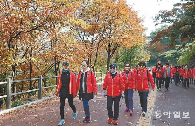 2018 훼라민퀸과 함께하는 동행 캠페인 참가자들이 남산 둘레길을 걷고 있다. 동행 캠페인은 올해로 10회째를 맞았다. 안철민 기자 acm08@donga.com