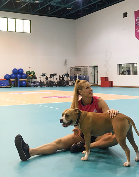 외국인 선수가 낯선 곳에서 뛰기 위해선 환경에 대한 적응이 선행되어야 한다. V리그 여자부도 마찬가지다. 외국인 선수들은 각자의 방식으로 한국 생활의 즐거움을 찾는다. 올 시즌 흥국생명 유니폼을 입은 베레니카 톰시아는 25kg 대형 반려견과 함께 입국했다. 이 강아지는 이미 팀의 마스코트가 됐다. 사진출처｜톰시아 SNS