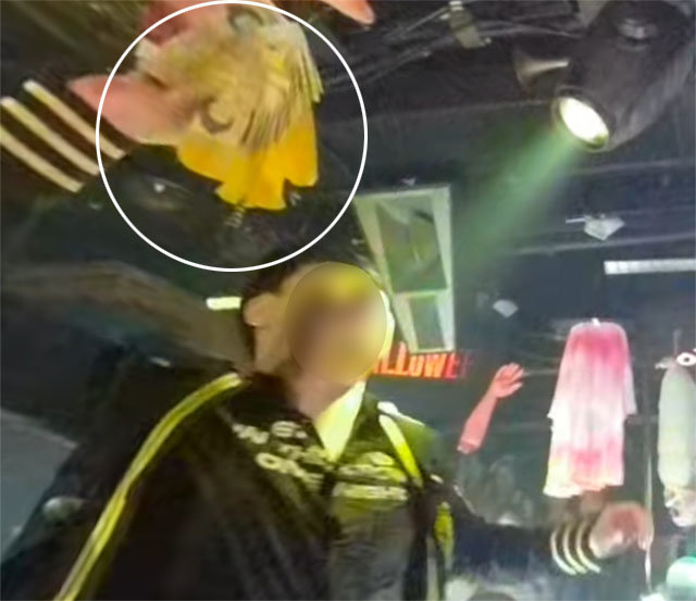 ‘헤미넴’이라는 이름으로 알려진 A 씨가 10월 28일 핼러윈 이벤트가 진행된 서울 강남구의 한 클럽에서 5만 원짜리 지폐 다발(실선 안)을 뿌리고 있다. 유튜브 화면 캡처