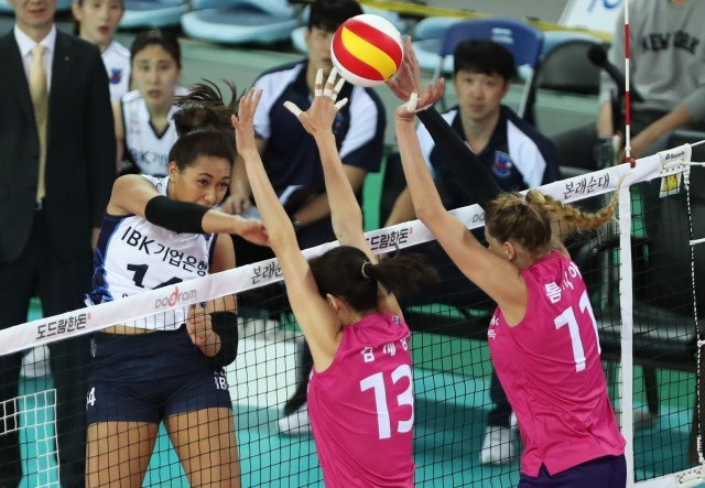 1일 오후 인천계양체육관에서 열린 2018-2019프로배구 흥국생명과 IBK기업은행 경기에서 IBK어나이 선수가 공격을 하고 있다.2018.11.1/뉴스1 © News1