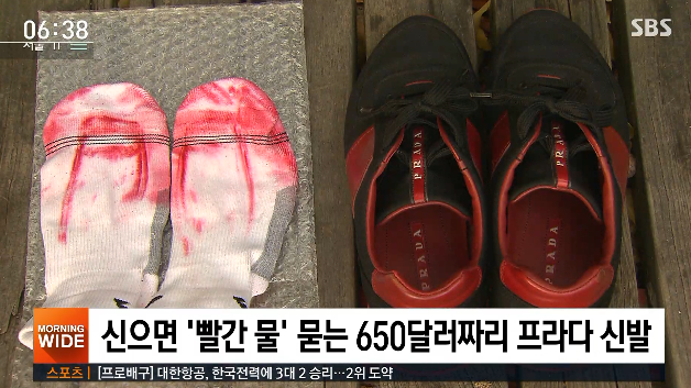 SBS ‘8뉴스’ 캡처.