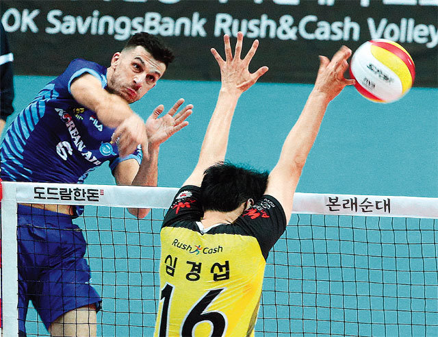 대한항공의 가스파리니(왼쪽)가 11일 안산 상록수체육관에서 열린 OK저축은행과의 경기에서 공격을 하고 있다. 17득점을 기록한 가스파리니의 활약에 힘입어 대한항공이 3-0으로 승리했다. 안산=뉴스1