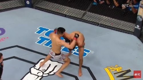 사진=UFC 홈페이지 갈무리