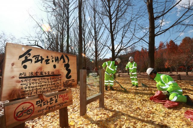 남이섬 송파 은행나무길(송파구 제공).© News1