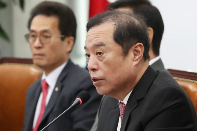 김병준 자유한국당 비상대책위원장이 19일 오전 서울 여의도 국회에서 열린 비상대책위원회 회의에서 모두발언을 하고 있다. 2018.11.19/뉴스1 © News1