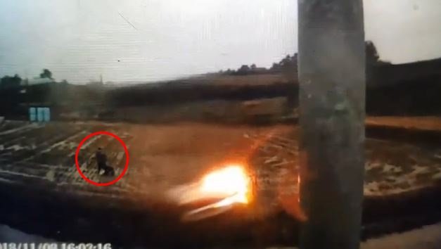 보배드림 캡처.