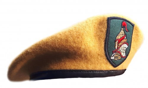 육군이 23일 최정예 전투원에게 씌워준 황금색 베레모. (육군 제공) © News1