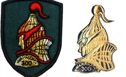 23일 육군의 최정예 전투원에게 수여된 포제(완쪽) 및 금속제 휘장. 포제는 전투복에, 금속제는 정복 및 근무복에 부착한다. (육군 제공) © News1