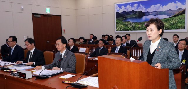 김현미 국토교통부 장관이 23일 서울 여의도 국회에서 열린 남북경제협력특별위원회 전체회의에서 업무보고를 하고 있다. 2018.11.23/뉴스1 © News1