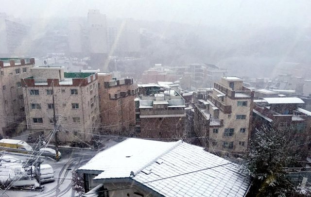 전국에  눈과 비가  예고된  24일  오전  서울에  첫 눈이  내리고  있다. 2018.11.24/뉴스1 © News1