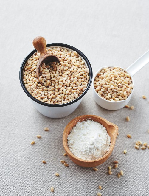 국산 밀은 수입 밀에 비해 글루텐 함량과 밀 알레르기를 일으키는 오메가-5 글리아딘 함량이 낮다. 농림축산식품부 제공