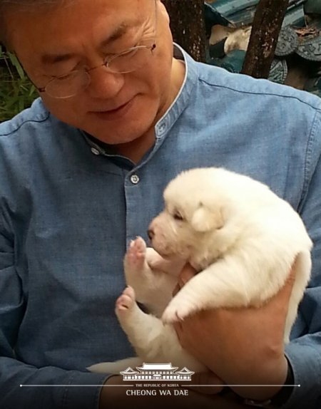 (출처 : 청와대 트위터) © News1