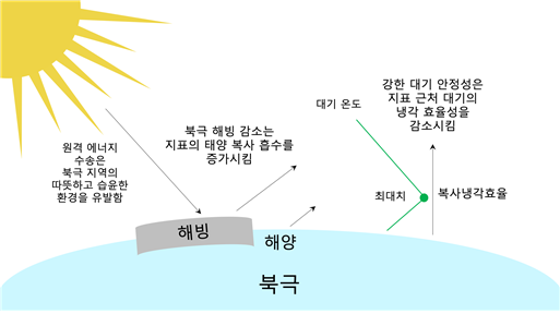 지역적 메커니즘에 의한 북극 증폭(IBS 제공)© News1