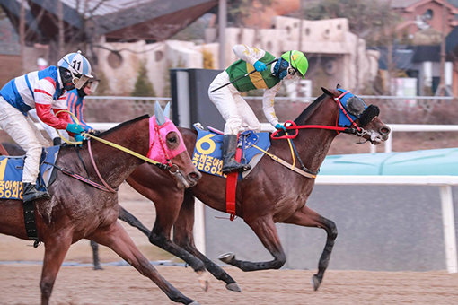 경주마 왕벚꽃과 김용근 기수(맨 앞).