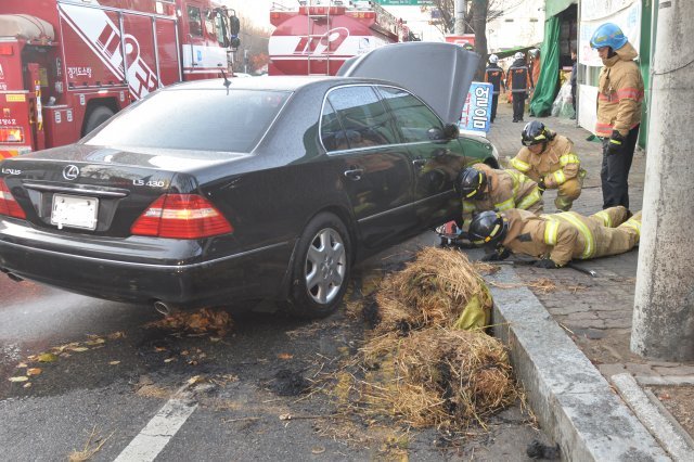/사진제공=고양소방서 © News1