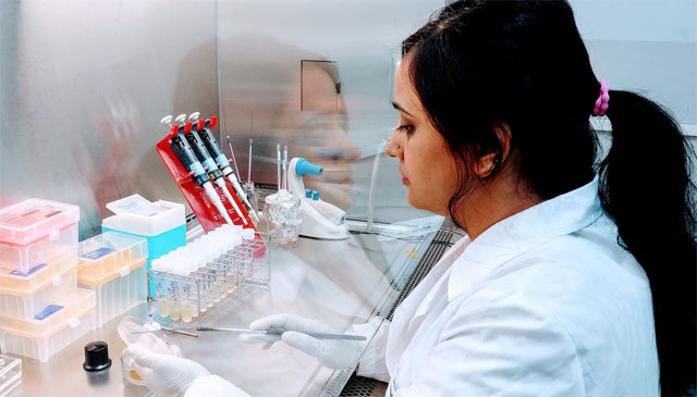 렉카 아르야 성균관대 의대 교수가 황색포도상구균을 대상으로 항독성물질 효과를 시험하고 있다.