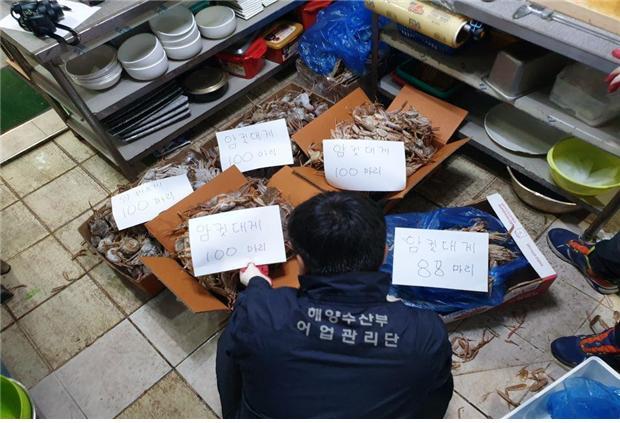 사진=동해어업관리단