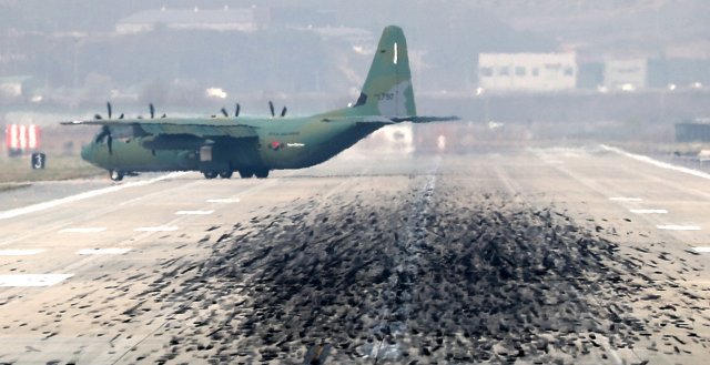 한미연합훈련 이틀째인 2일 오전 경기도 평택시 오산공군기지에서 임무수행을 마친 대한민국 공군 C-130 수송기가 착륙하고 있다. © News1