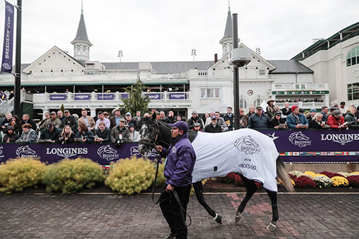지난달 2일 미국 브리더스컵 출전 닉스고 모습.