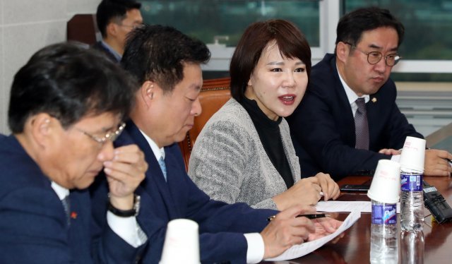 발언하는 전현희 더불어민주당 정책위 택시-카풀TF 위원장. © News1