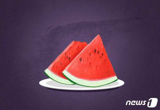 © News1 최수아 디자이너