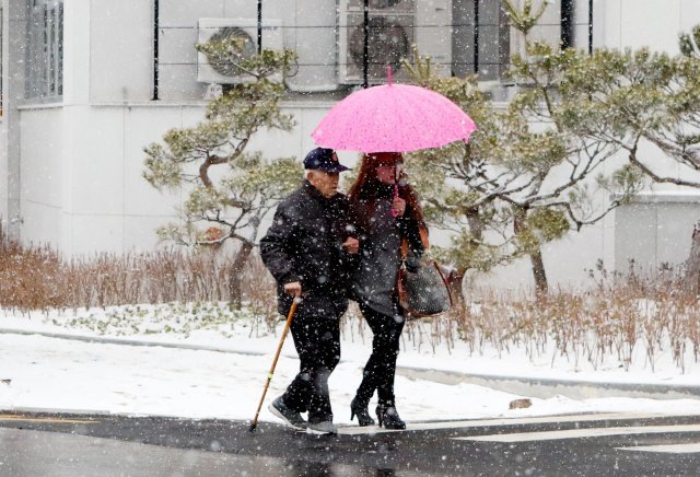 11일 오전 경북 안동시 명륜동에서 중년 여성과 노인이 우산을 쓴채 조심스레 길을 걷고 있다. 안동지역은 이날 오전 11시 현재 0.6㎝의 적설량을 기록 중이다. 2018.12.11/뉴스1 © News1