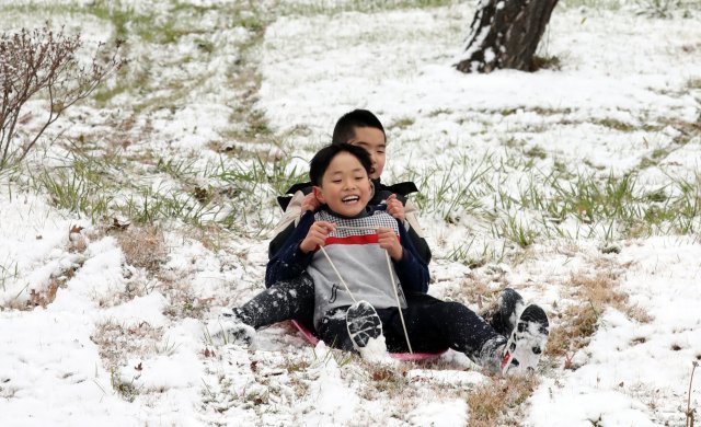전국 곳곳에 많은 눈이 내린 11일 세종시 어진동의 한 공원에서 어린이들이 눈썰매를 타고 있다. © News1