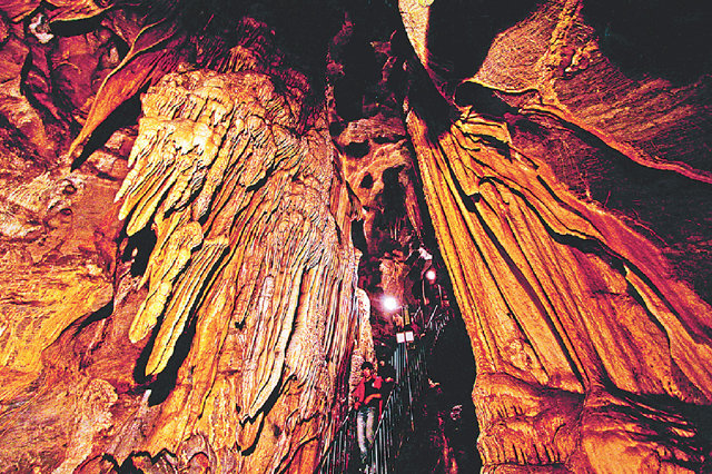 천연 동굴의 고장인 충북 단양에 산재한 동굴에 들어서면 다양한 종유석과 석순을 볼 수 있어 가족여행지로 안성맞춤이다. 사진은 고수동굴. 단양군 제공