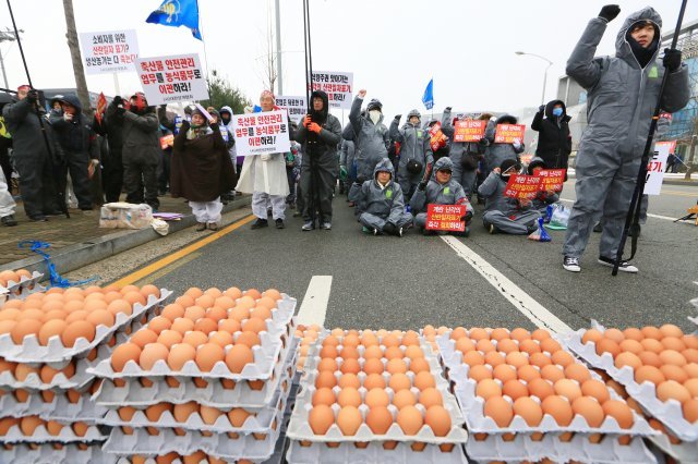 대한양계협회 등 양계 농민들이 13일충북 청주시 오송읍 식품의약품안전처 앞에서 산란 일자 표기 반대 집회를 열고 있다. 2018.12.13/뉴스1 © News1