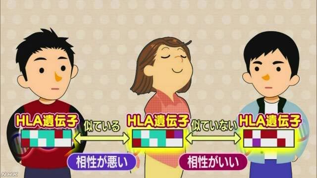 일본 젊은이들 사이에서 인기를 끄는 ‘DNA 곤카쓰’에 대해 설명하는 NHK 자료화면. (출처=NHK 갈무리) © News1