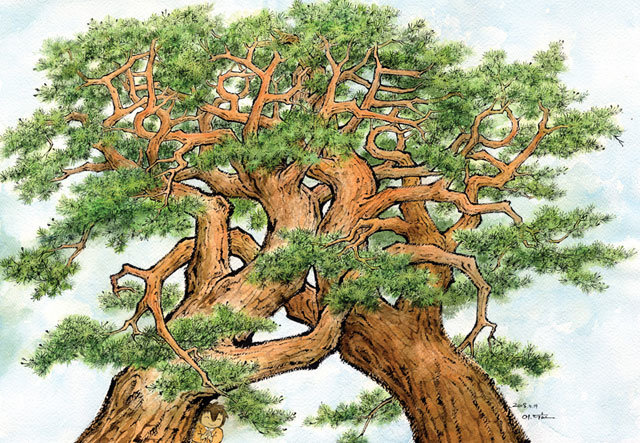 이두호 화백의 ‘소나무’. 하나로 어우러진 두 그루의 소나무는 남과 북의 화해와 평화를 상징한다.
한국만화영상진흥원 제공