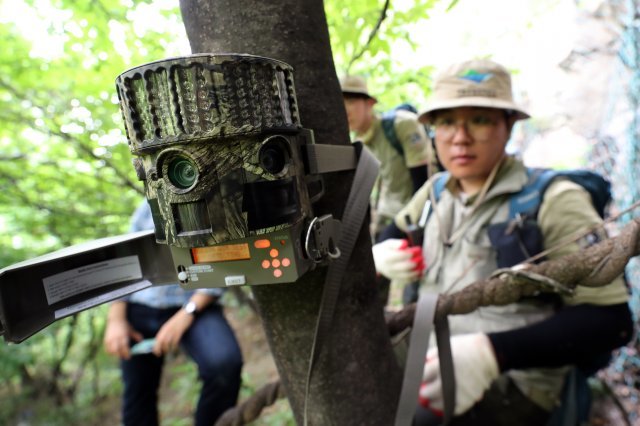 서울 중랑구 용마폭포공원 인근 산지에서 국립공원관리공단 직원들이 산양 관찰을 위한 무인카메라를 설치·점검 하고 있다.  /뉴스1 DB