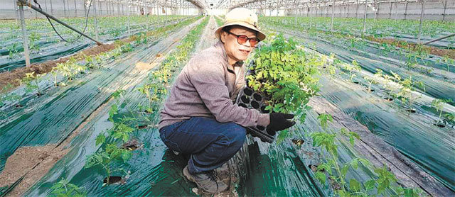 이동필 전 농림축산식품부 장관이 경북 의성군의 한 비닐하우스에서 농작물 모종을 들어 보이고 있다. 이 전 장관은 퇴임 뒤 노모가 
살고 있는 2층 주택 마당에 사랑채를 지어 아내와 함께 살고 있다. 이동필 전 농림축산식품부 장관 페이스북 캡처